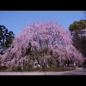 Meet your Posher, Doris